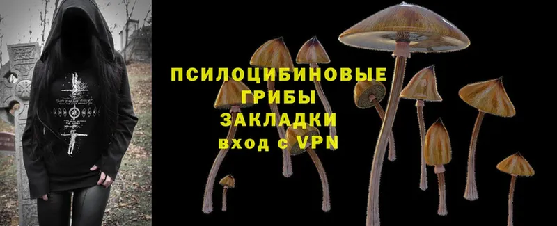 darknet какой сайт  Яранск  Галлюциногенные грибы MAGIC MUSHROOMS  цены  